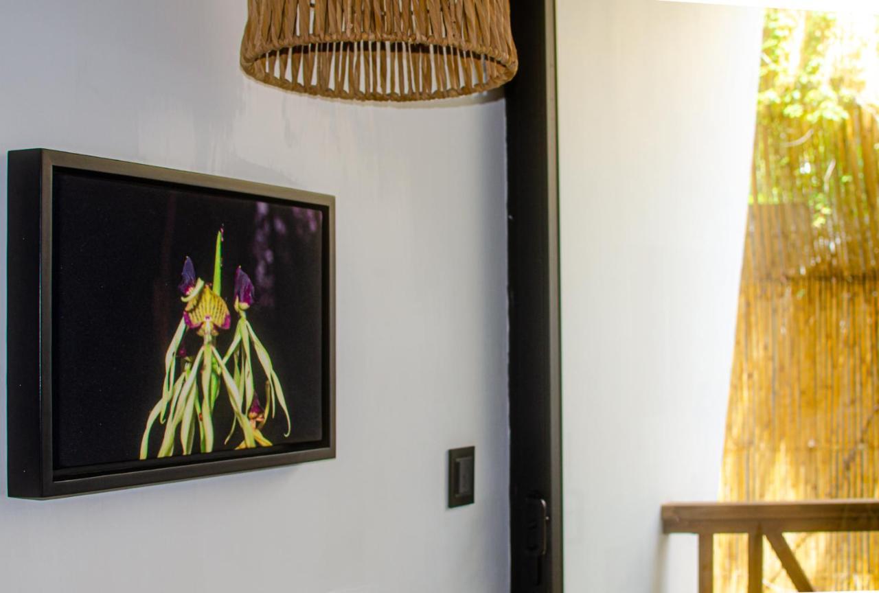 Ximena Hotel Boutique Саюліта Екстер'єр фото